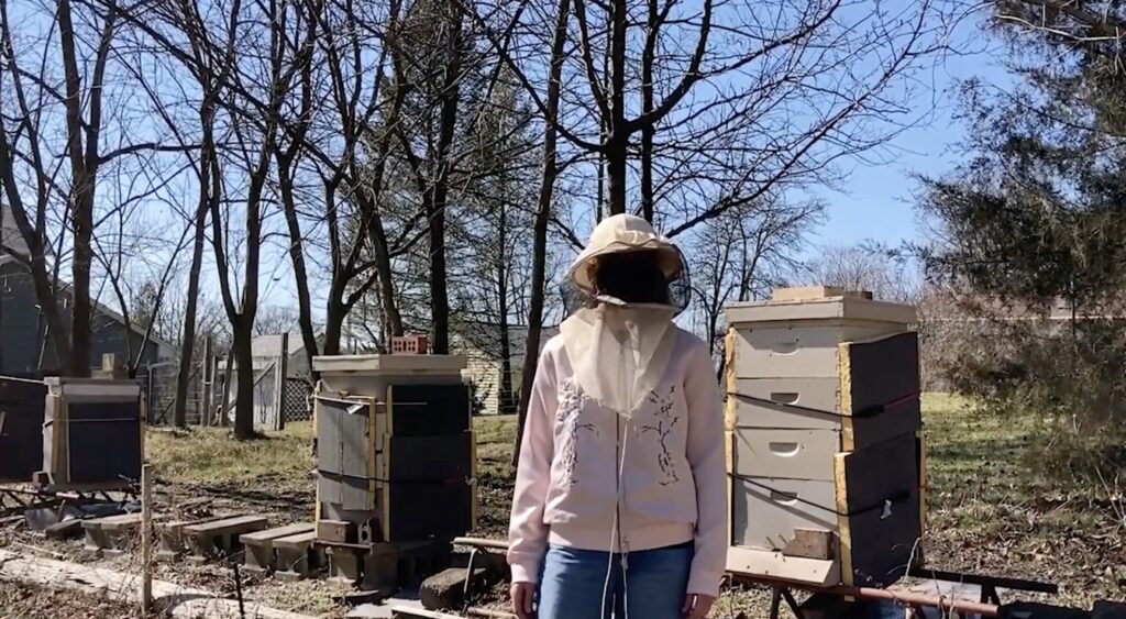 A screenshot of the reporter, Emily Glass, standing in front of an apiary in a wooded area. She is wearing protective gear on her head, and bees are flying around her.