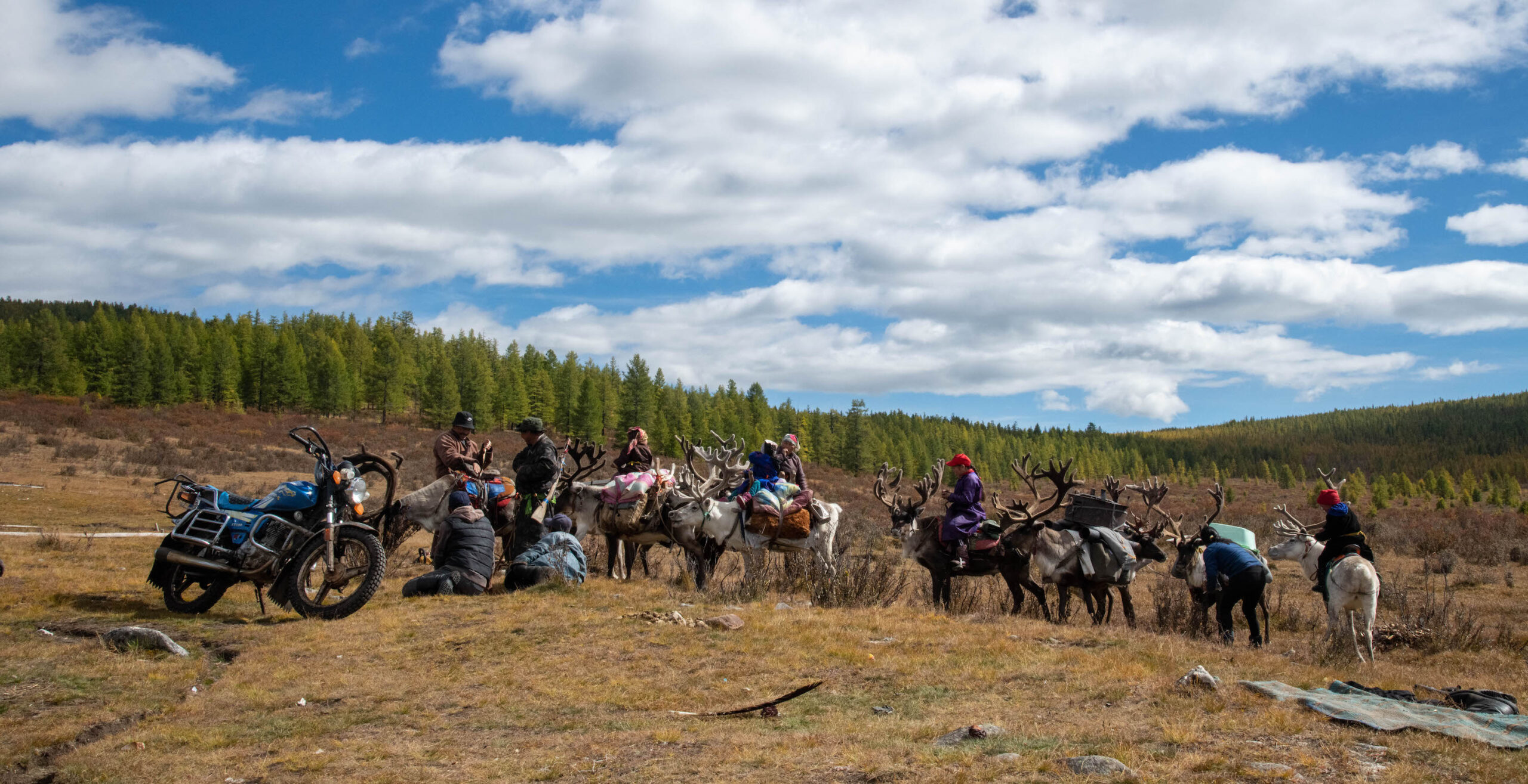 A line of herders and reindeer along a slope in front of a line of green trees in the background. The sky is blue and filled with clouds, and there is a motorcycle near the men farthest left of the halted convoy in the center of the frame.