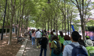 Participants walk down a park road during walkathon in Battery Park