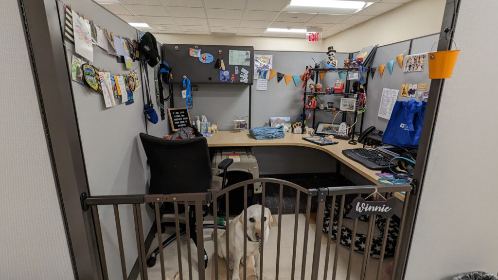 A dog awaits her handler's arrival at the Canine Companions facility on Long Island