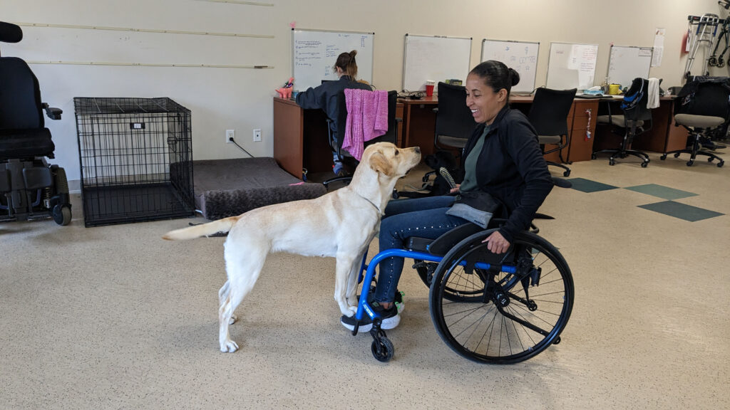 Service dog training at Canine Companions For Independence on Long Island