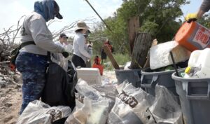 Biologists cleaning debris on a beach in Southern Florida
