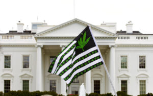 A demonstrator waves a flag with marijuana leaves on it during a protest calling for the legalization of marijuana, outside of the White House in Washington.
