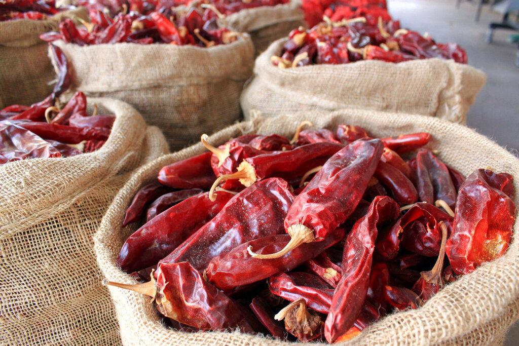 Sacks of dried red chile pods at the Hatch Chile Sales shop along the main street in Hatch, N.M.
