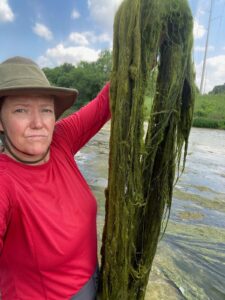 Morris stands in the river in a pink shirt and beige hat. She holds up a large mass of green stringy algae pulled out from the water.