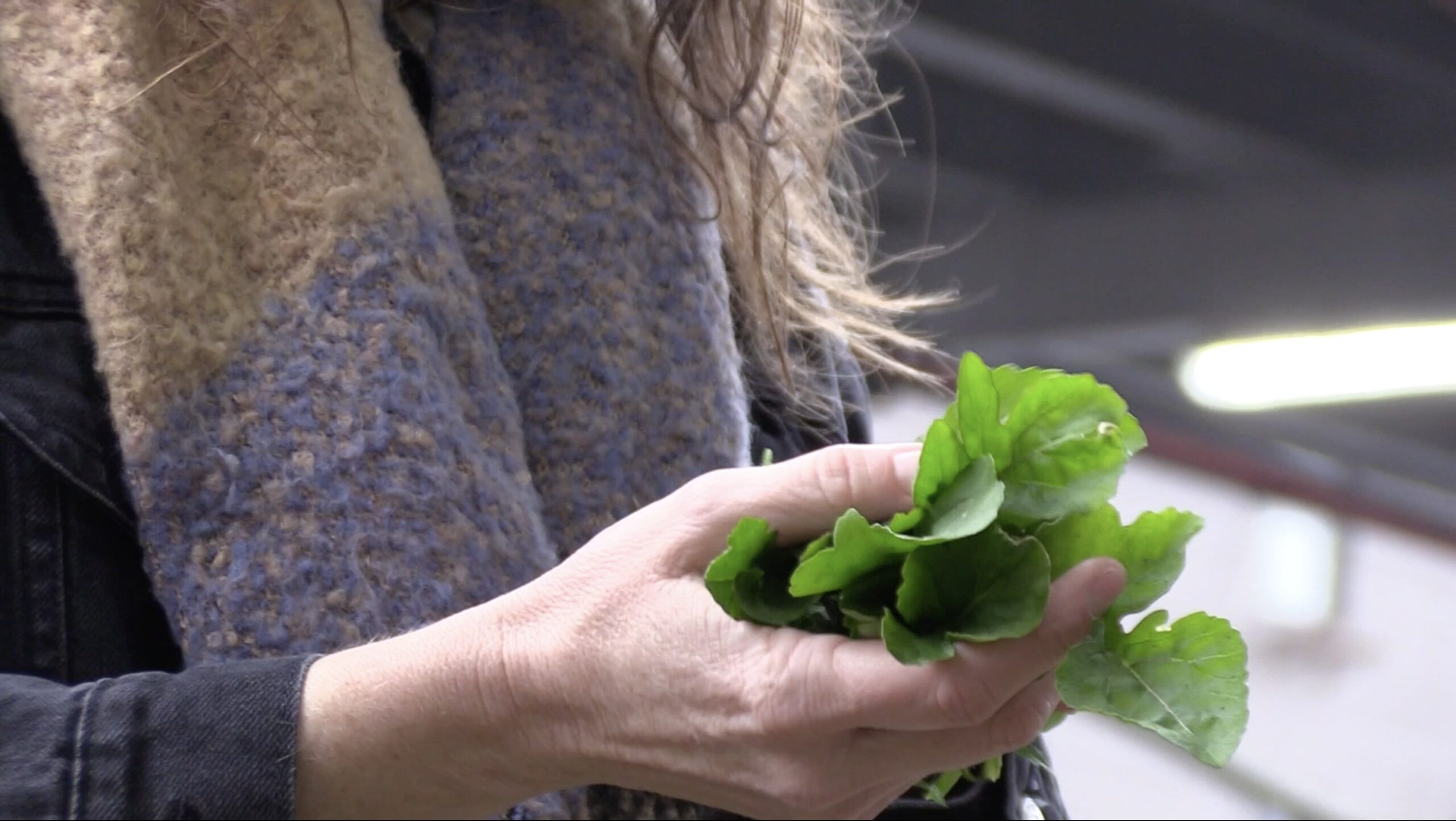 An NYU Professor holds a bunch of leaves in her hand.